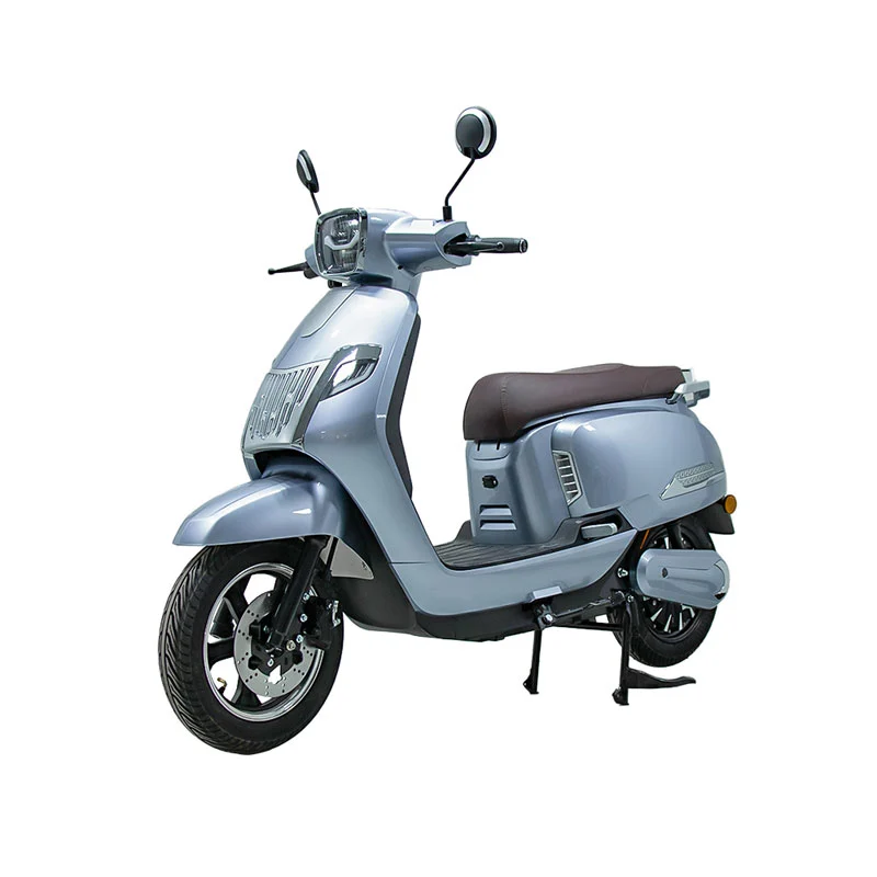 هنگام خرید یک موتور سواری برقی 10 اینچی 800W برای بزرگسالان چه باید در نظر بگیرید؟
